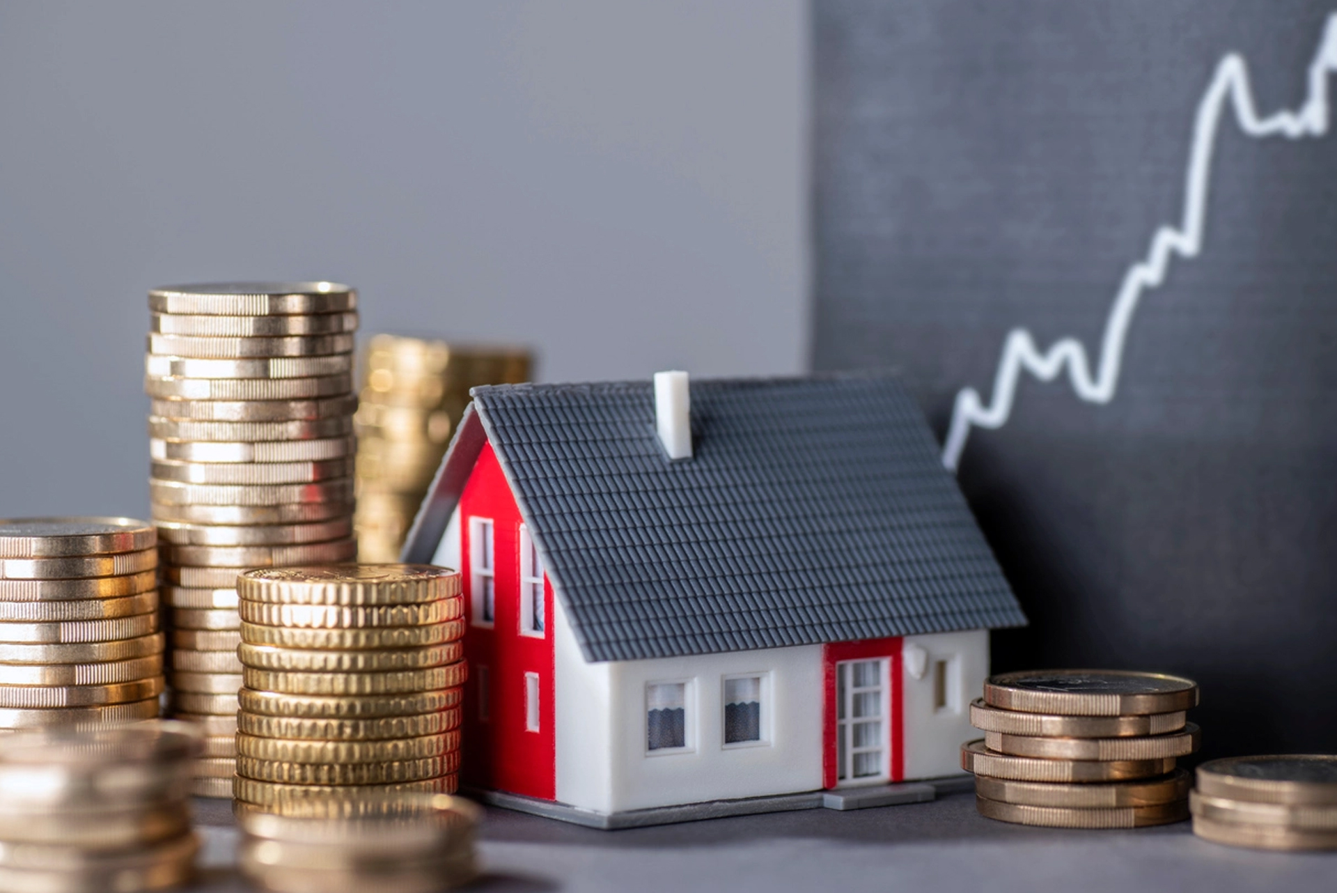 Real Estate Consultancy